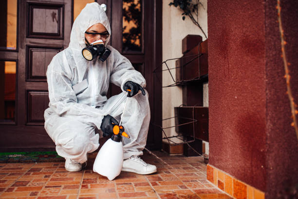Reliable Wasp Removal contractor in West Yarmouth, MA by Show Me Pest Control